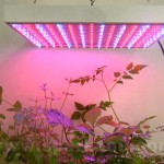 Today’s Best SEO Tactics for Beginners