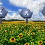 Looking for a good quality VR headset for cheap? Check out the SVR Glass.