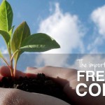 How Facebook Management can Drive more Traffic to your Website