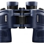 The Lifeline of Your Business – Dedicated Server Hosting