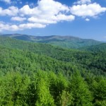 Email Marketing – Effective Tips To Write a Business Email