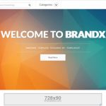 4 Best Hair Straightening Tools for Natural Hair