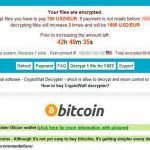 Things to keep in mind to create a basic Android chat app