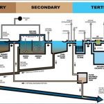 Top 5 Deadliest Ransomware: Everything You Need to Know About It