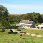 Technology Trends in Business for 2016