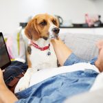 Mobile Banking App – What Makes It Useful?