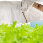 How to Market Your Business App Almost for Free?