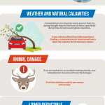 Cool office conversion [Infographic]