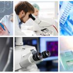 Recruitment from newspapers to software