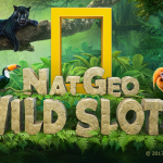 The Importance of Online Privacy