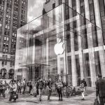 Why Are Keywords So Important for Your Online Sales? [Infographic]