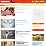 How to Ensure Your Business Has the IT Support It Needs