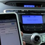 Why Good Communication Skills Are Crucial for IT Employees