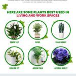 What do you know about your smartphone battery?