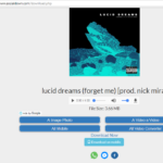 Swords – Legend of Zelda Breath of the Wild