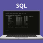 Top 5 POS Terminal Systems You Need To Know About