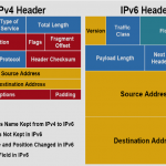 Check out the new Bitcoin trading software in 2019