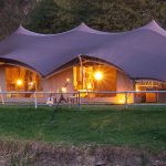 All You Need to Know About User Intent-Based SEO