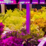 5 Top Advantages Of Affiliate Marketing