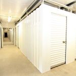 How Much Influence Does Crypto Have on the World Today? [Infographic]