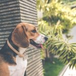 Why You Need IT Support in London For Your Small Business