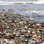 A Decade Later – is Bitcoin Still a Viable Investment in 2019?