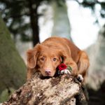 Hybrid Traffic Reviews – The Best Link Building Agency In 2020?