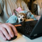 Can You Buy A Car Online Or Do You NEED to See It In Person?