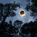 Best Mac DVD Ripper Programs