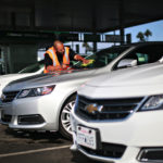 13 Types Of Greens To Nourish Up Your Meals