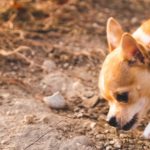 What can I put on hot tub steps to prevent slipping?