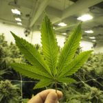 Top Tips For The Fashion-Conscious male to Master Vaping