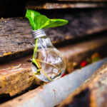 How to Care for the Engine Crankshaft