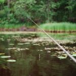 Take Your Real Estate Agency To The Next Level By Partnering With These Financing Options