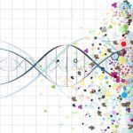 5 Factors Of Successful Software Asset Management Implementation