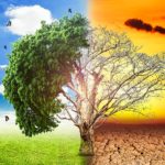 The Eye of the Gaming Tiger: How to Conquer Challenging Games