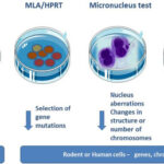 How to Make Your Own Music and Collaborate Online