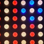 What is IQ and How Much Does it Matter?