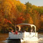 Government programs in the US that qualify for a free phone