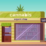 Should We Buy a Car with an Accident History?