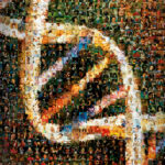 5 Student Loan Repayment Tips For High Earners