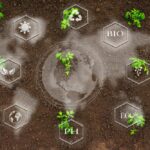 Learn-to-Earn, Move-to-Earn: How to Get Crypto in New Ways