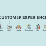 Choosing the Right Cannabis Seeds For Your Setup