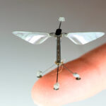 AI will not replace you, it will be a better version of our existing tools