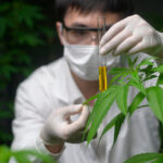 The Most Common IT Compliance Risks Your Business Will Ever Face