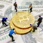 Queensland: MP says she was drugged and sexually assaulted