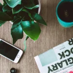 How Cryptocurrencies Will Change the Global Financial System: Prospects and Challenges