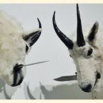 Building Customer Loyalty Through WhatsApp: Tips and Strategies